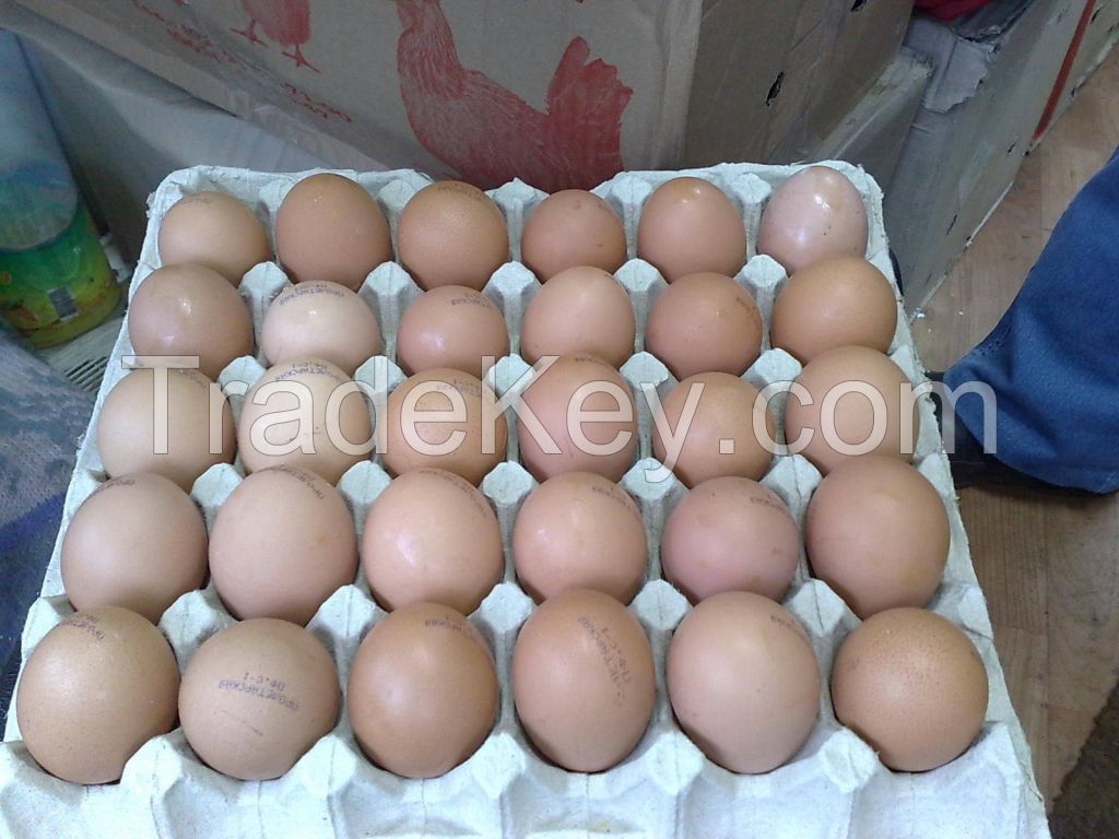 Farm Fresh Chicken Eggs