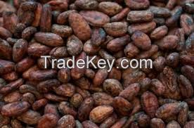 COCOA BEANS AND POWDER FOR SALE
