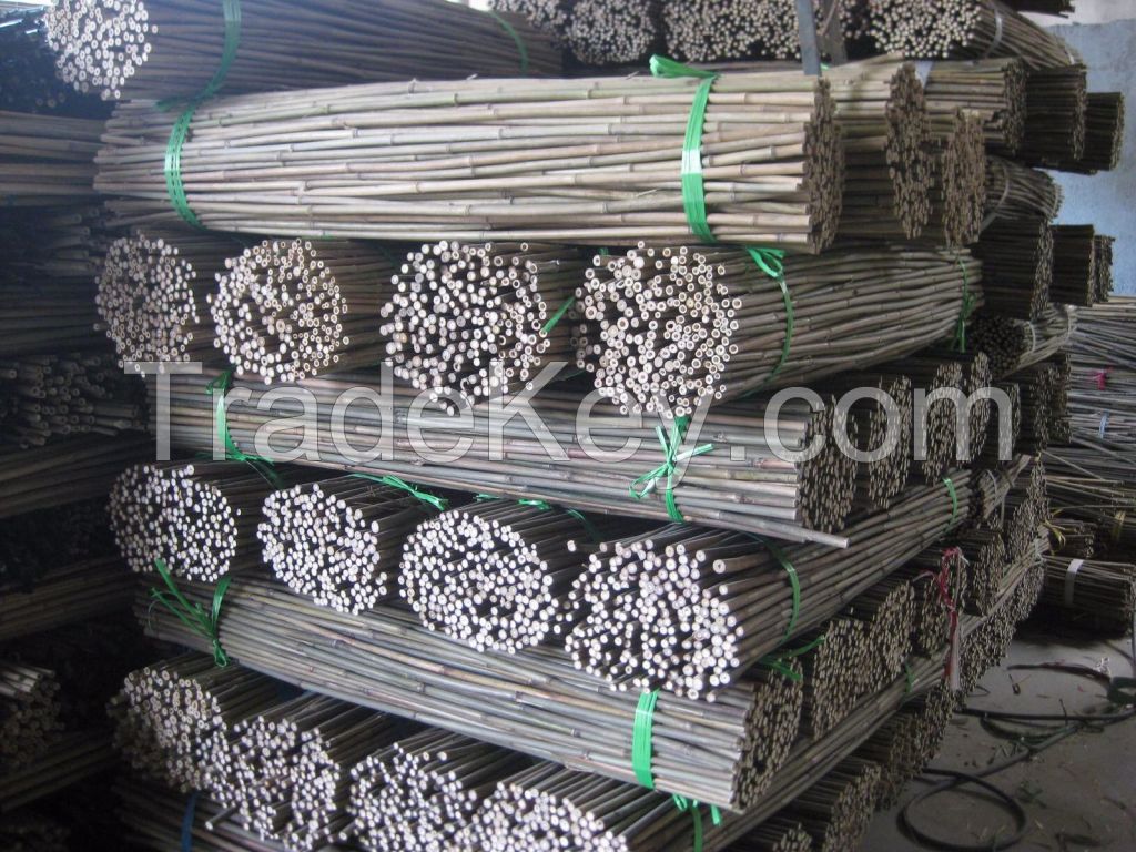 bamboo poles / bamboo raw materials