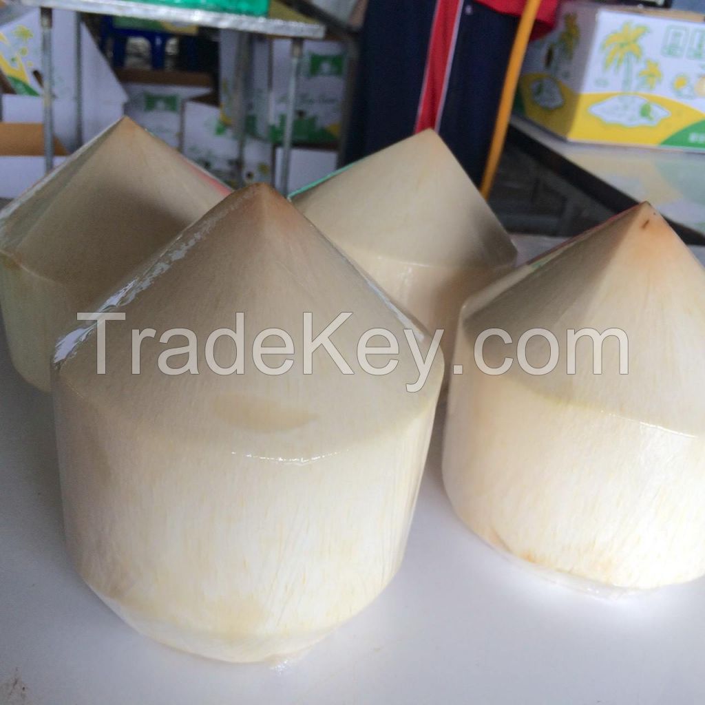 young fresh coconut diamond shapped with best price
