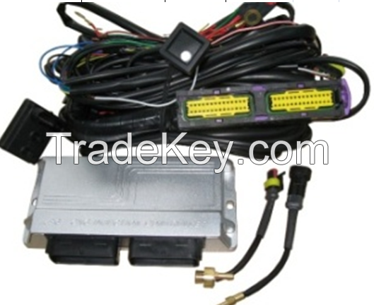 eg300 cng/lpg multipoint sequential conversion kits