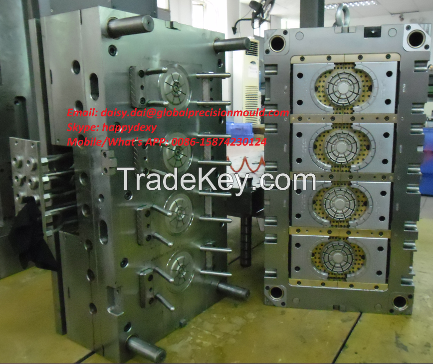 High Precision Multi Cavity Mould Manufacturer in China