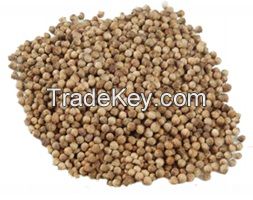 Coriander Seeds