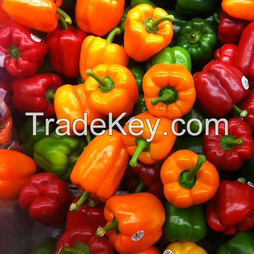 Best Quality Peppers and Capsicums