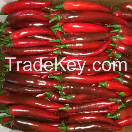 Fresh Hot Pepper