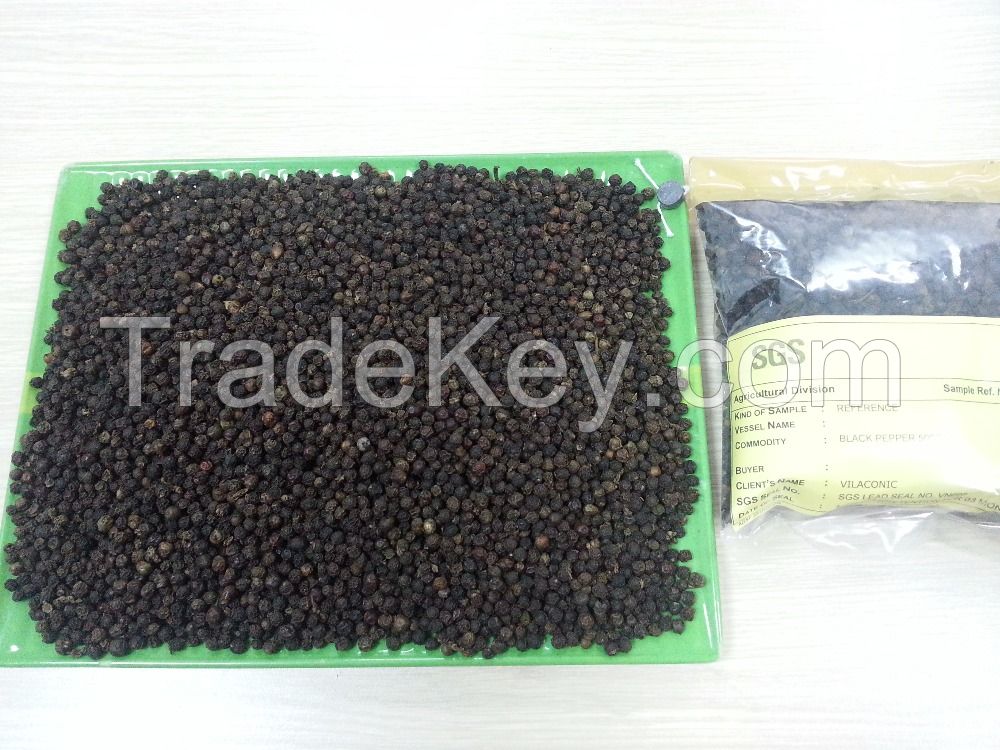 BLACK PEPPER, SPICES, WHITE PEPPER EXPORTER, FACTORY