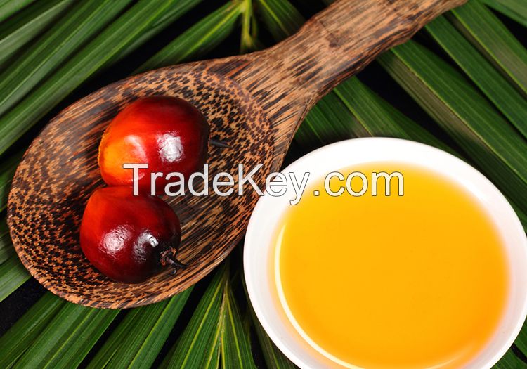 Indonesia refined cp6 cp8 cp10 palm cooking oil with cheap price