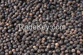 Black Pepper High Quality 500- 550- 600gl