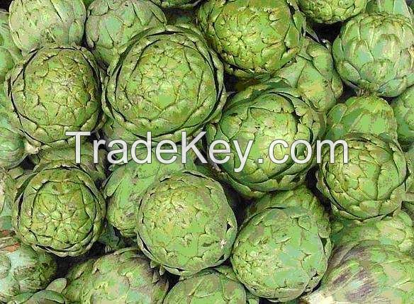 Plant extracts  Artichoke Powder for Sale