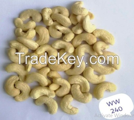 CASHEW NUT WW 240