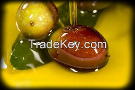 Ordinary Olive Oil