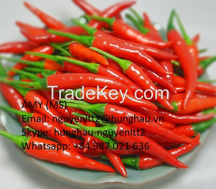 CHILI IN VIETNAM- HUNGHAU AGRICULTURAL CORP.