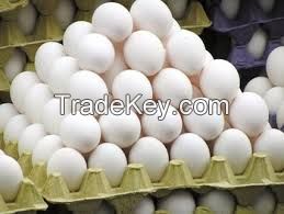 Fresh American White Table Chicken Eggs