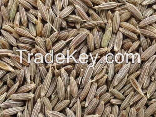 Sell Cumin Seeds