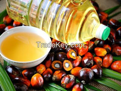 Palm Oil