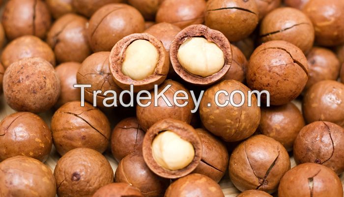 Cheap macadamia nuts