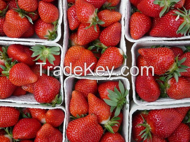 Cheap strawberry Fruits