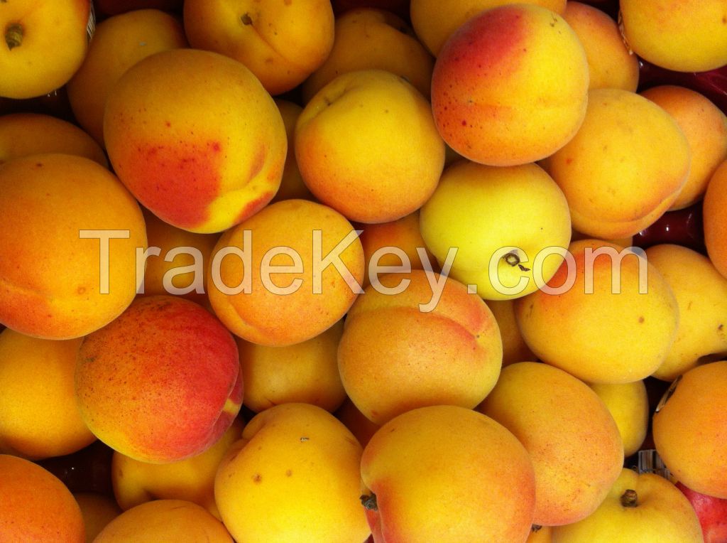 super Deal Sweet Fresh Apricot