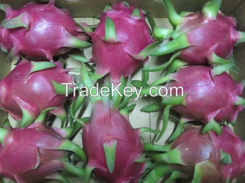 Cheap Fresh Dragon Fruits