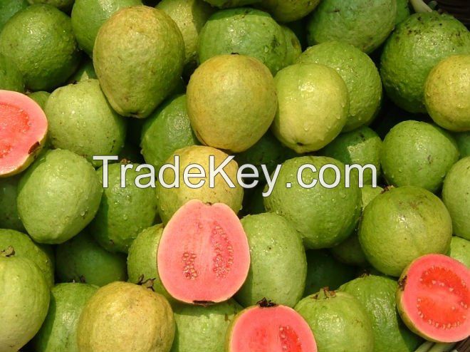 Cheap Fresh Guava