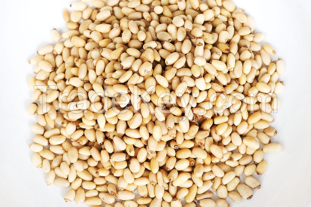 Cheap pine nuts