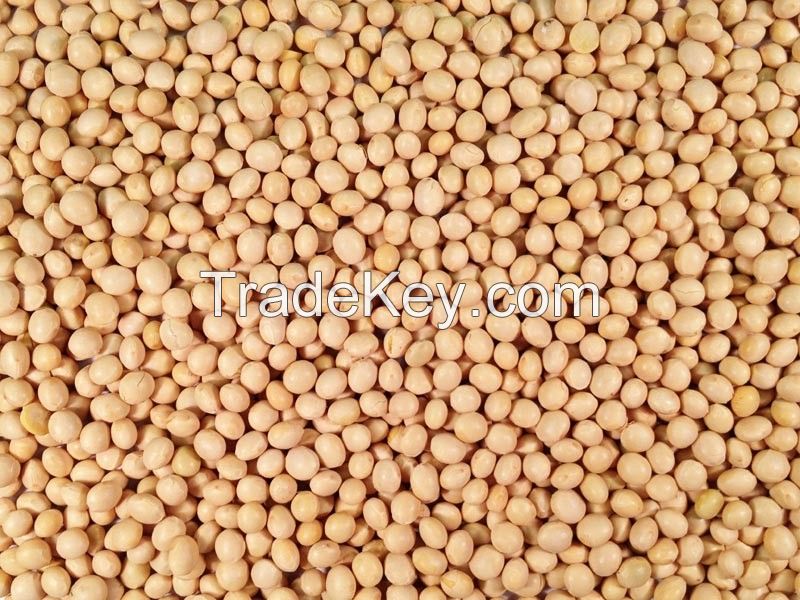 Cheap  soybeans