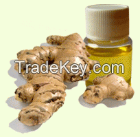 Cheap ginger oil available for sale