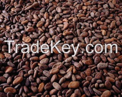 Cheap cacao beans available for sale