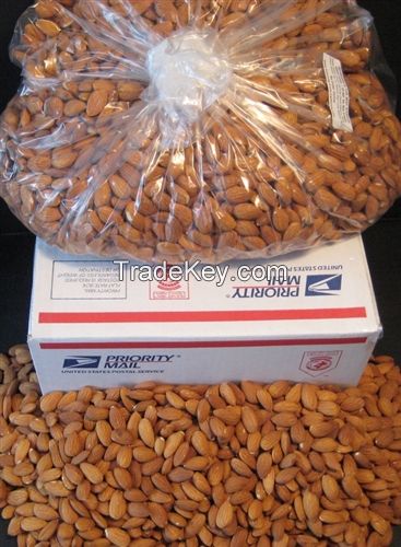 Cheap nonpareil almond nuts available For Sale