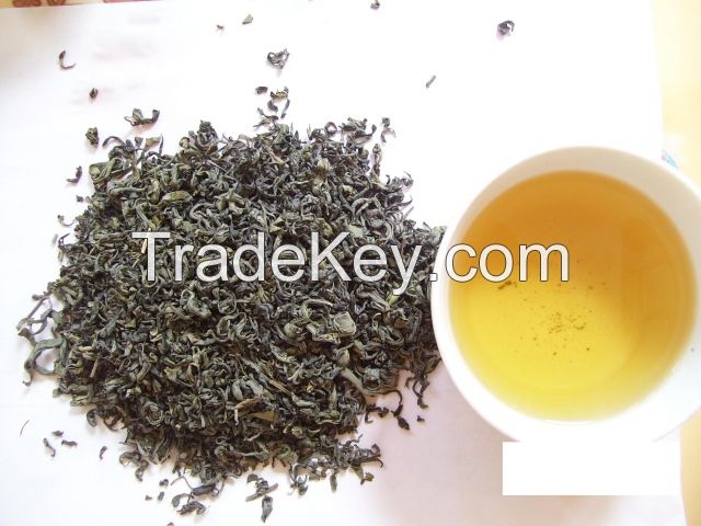 Cheap Moc Chau OP green tea Available For Sale