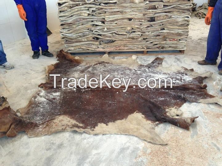 Cheap Dry and Wet Salted Donkey Available For Sale