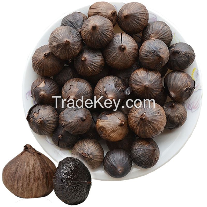 Cheap black garlic seeds Available For Sale