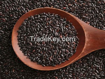 Cheap black rice seeds Available For Sale