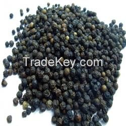Cheap black coriander seed/Coriander Seeds/Split Coriander Seed Available For Sale