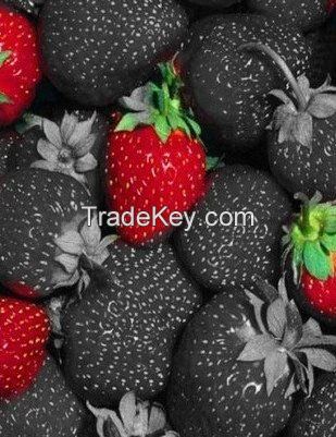 Cheap black strawberry seeds Available For Sale