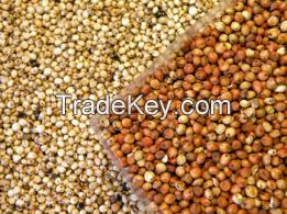 Cheap White Sorghum, Red sorghum Available For Sale