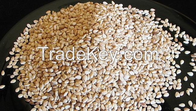 Natural White Hulled Sesame Seeds