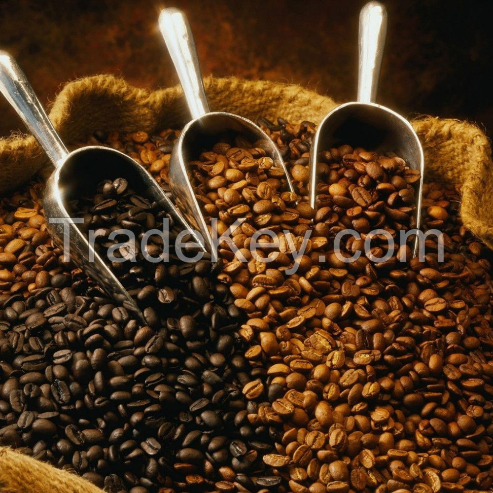 Coffee Beans - Green Arabica Coffee Beans -Robusta Coffee