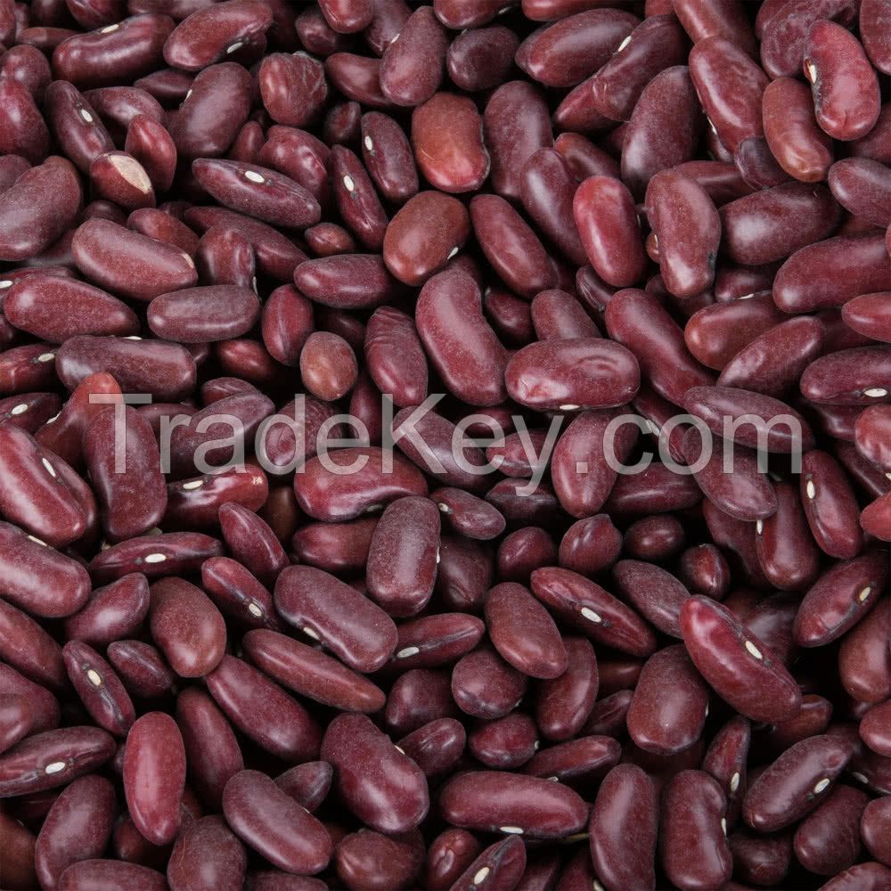 Dark Red Kidney bean 2017 crop