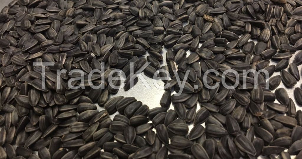 Sunflower seeds confectionery