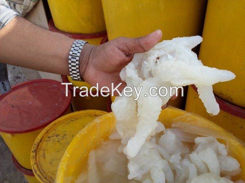 Dried Salted Jelly Fish