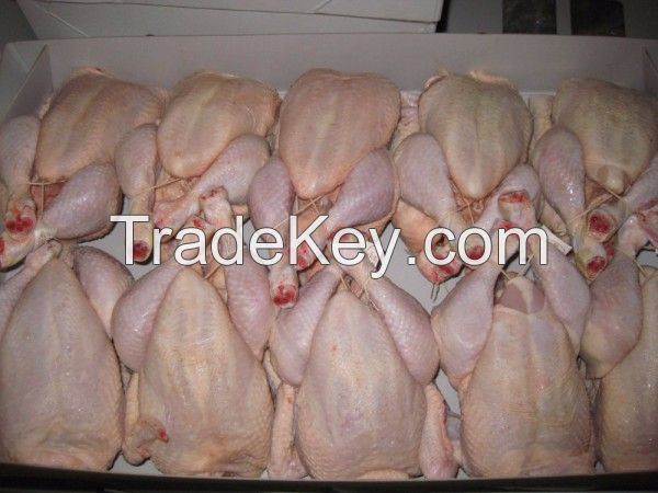 Grade A Chicken Paws from Thailand