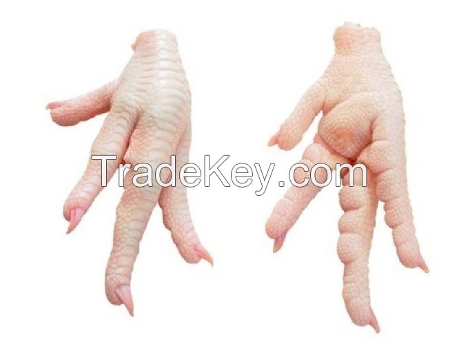 Halal Certified Frozen Chicken Paws.