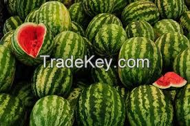 FRESH WATER MELONS