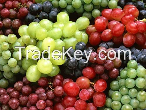 FRESH GRAPES