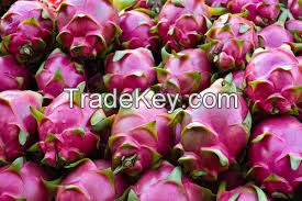 FRESH DRAGON FRUIT