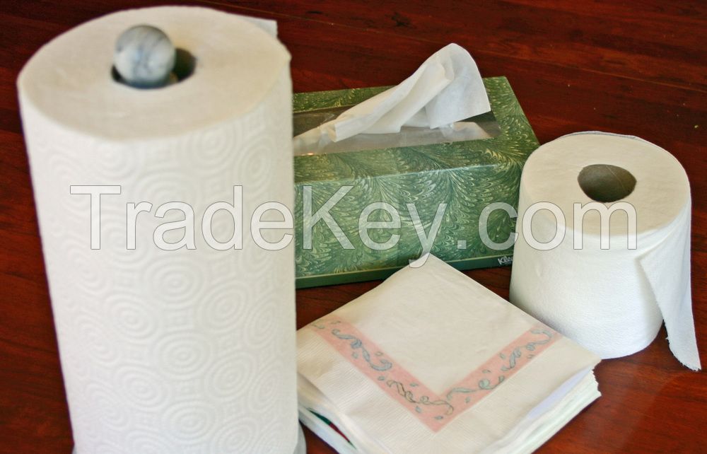 Kitchen Paper Disposable Towel, Towel kitchen roll