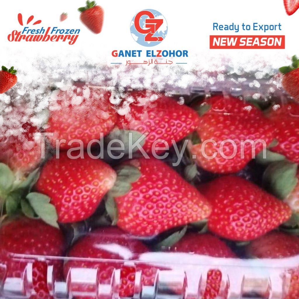 fresh strawberry suppliers