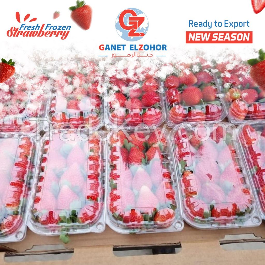 Fresh Strawberries suppliers