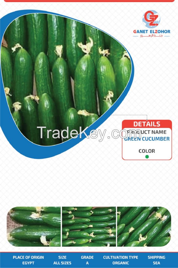 cucumber